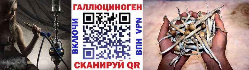 Галлюциногенные грибы прущие грибы Людиново